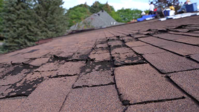 Best Asphalt Shingles Roofing  in Millers Falls, MA