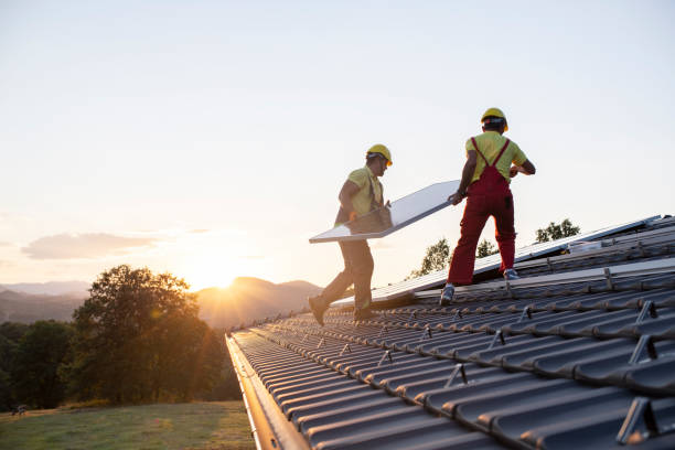 Best Roof Moss and Algae Removal  in Millers Falls, MA